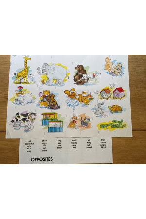 Plakatas  Opposites  (su lipdukais) - Plakatai | Litterula