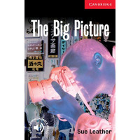 The Big Picture: Book*