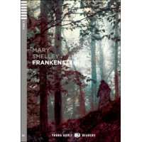 Adult B2: Frankenstein. Book + Audio Download*