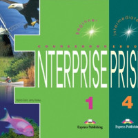 Enterprise (39)